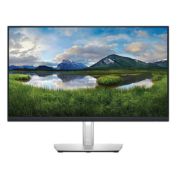 Dell P2422HE 24