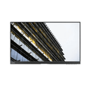 Dual Lenovo ThinkVision E24 - 28 24" IPS Monitor with Dual Arm Stand - UN Tech